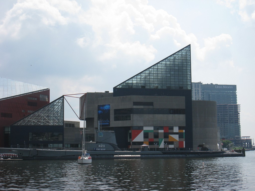 Baltimore MD 2009 0630.jpg - A 4th of July trip to Washington DC in 2009 included a stop in Baltimore MD to see the National Aquarium.